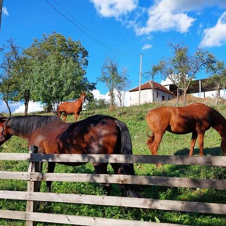 Appartamento Poljoprivredno Turisticko Domacinstvo Deguric Valjevo Esterno foto
