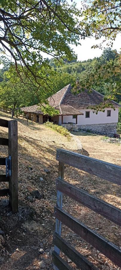 Appartamento Poljoprivredno Turisticko Domacinstvo Deguric Valjevo Esterno foto