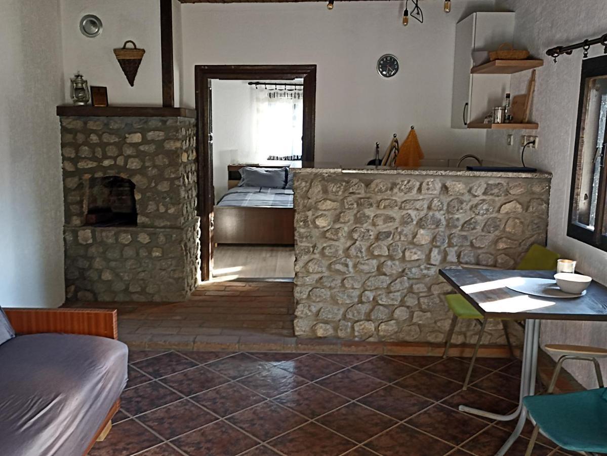 Appartamento Poljoprivredno Turisticko Domacinstvo Deguric Valjevo Esterno foto