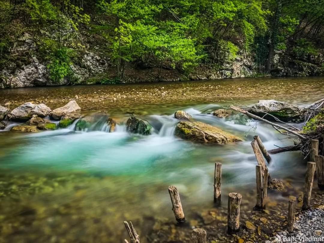 Appartamento Poljoprivredno Turisticko Domacinstvo Deguric Valjevo Esterno foto