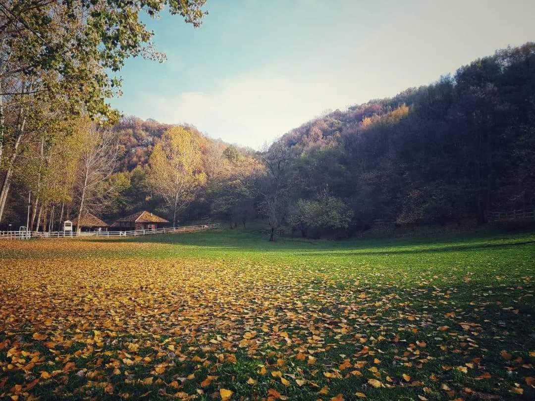 Appartamento Poljoprivredno Turisticko Domacinstvo Deguric Valjevo Esterno foto