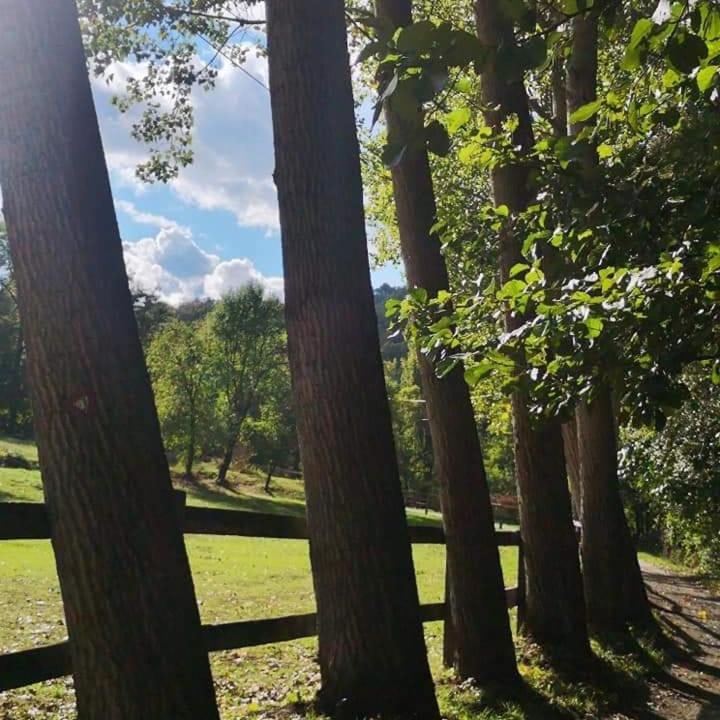 Appartamento Poljoprivredno Turisticko Domacinstvo Deguric Valjevo Esterno foto