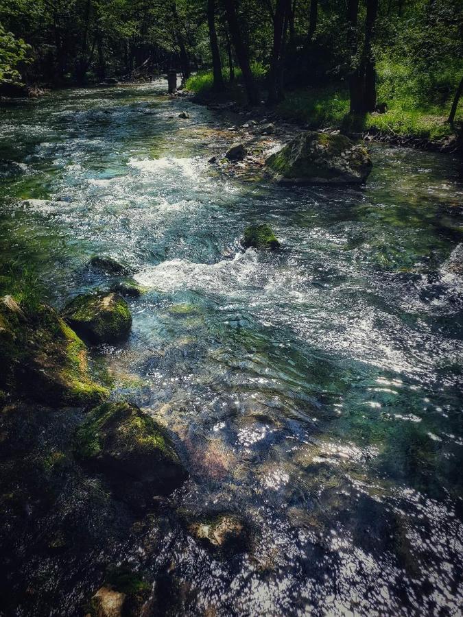 Appartamento Poljoprivredno Turisticko Domacinstvo Deguric Valjevo Esterno foto