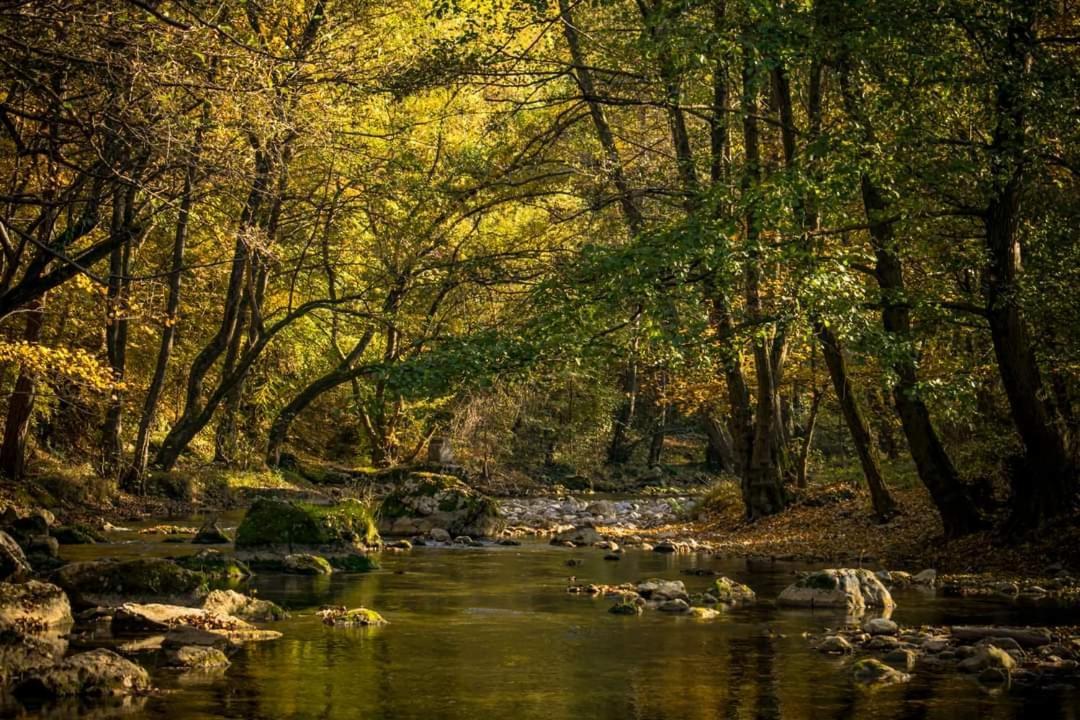 Appartamento Poljoprivredno Turisticko Domacinstvo Deguric Valjevo Esterno foto