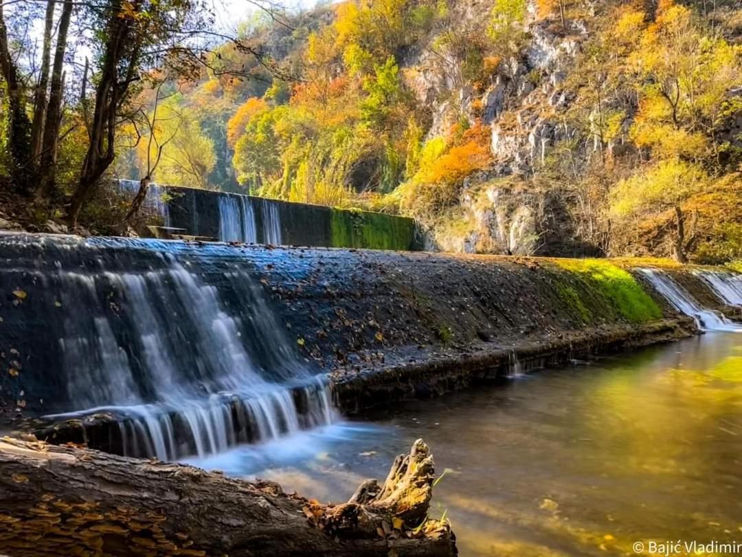Appartamento Poljoprivredno Turisticko Domacinstvo Deguric Valjevo Esterno foto