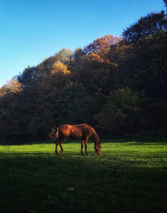 Appartamento Poljoprivredno Turisticko Domacinstvo Deguric Valjevo Esterno foto