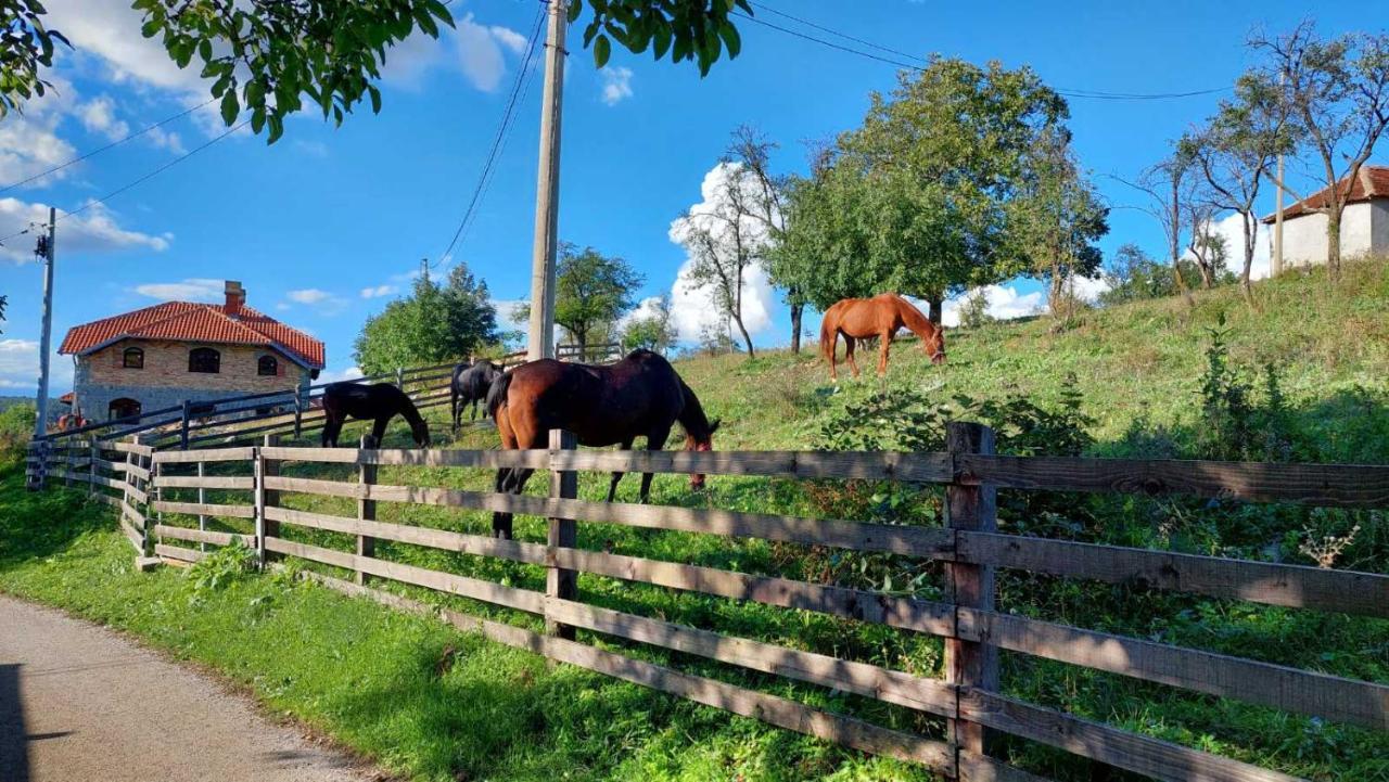 Appartamento Poljoprivredno Turisticko Domacinstvo Deguric Valjevo Esterno foto