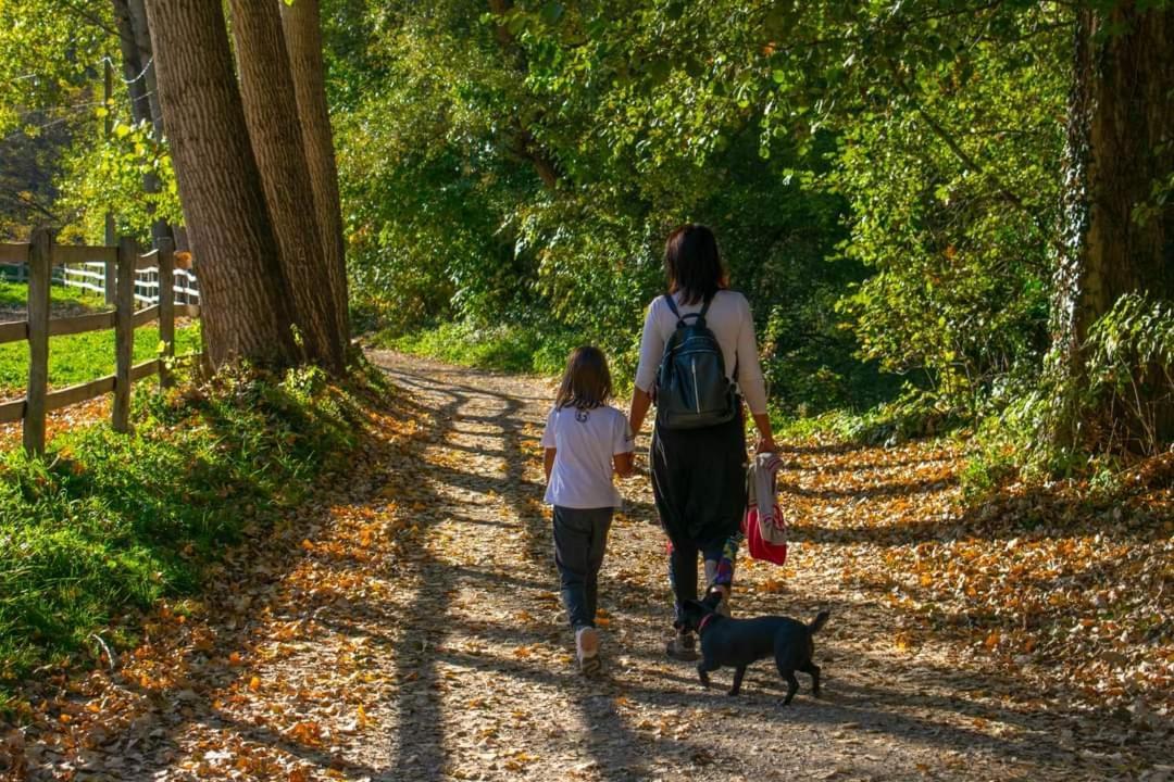 Appartamento Poljoprivredno Turisticko Domacinstvo Deguric Valjevo Esterno foto